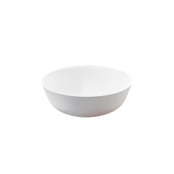 Pastatomas praustuvas Sanycces Bol 41 cm baltas matinis