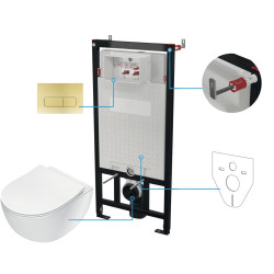 Potinkinis WC komplektas Deante Peonia, 6 viename, balta, šlifuotas auksas, CDER6ZPW